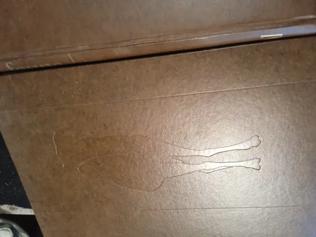 Cuatro primeros tomos enciclopedia fauna salvat