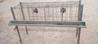 Jaula gallinas