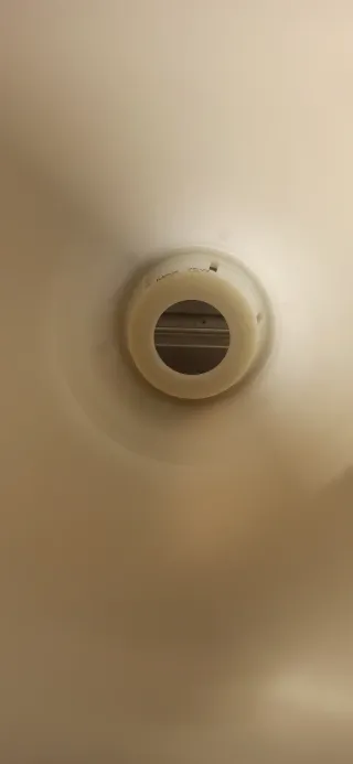 Tulipa translúcida, de lámpara de techo, blanca.