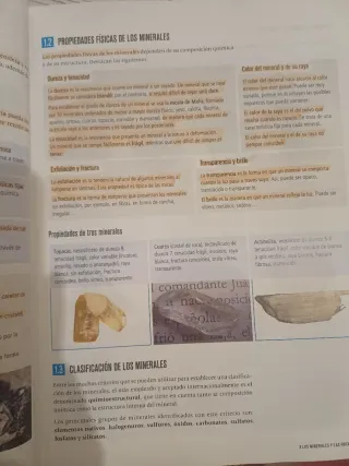 Proyecto: FanFest - Biología, Geología y Cienci...