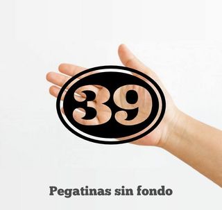 Pegatinas dorsal moto 39