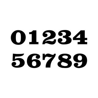 Pegatinas dorsal moto 39