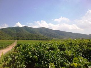 Chalet en alquiler en Bullas