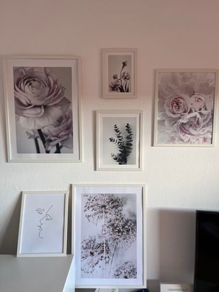 Set 5 Cuadros Flores Desenio + Marcos IKEA