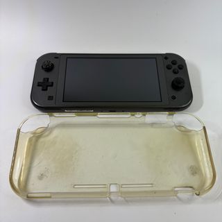 Nintendo switch lite Dialga Palkia