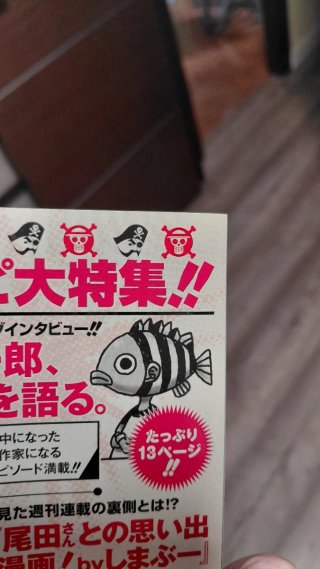 Revista One piece magazine 021 con promo