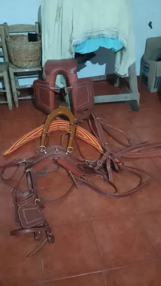 Guarnición calesera