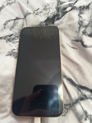 IPHONE 13 PRO MAX (1 cámara rota)