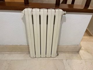 Radiador de hierro fundido