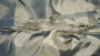 Falda verde, Boutique Italiana, talla 40, 100% lin