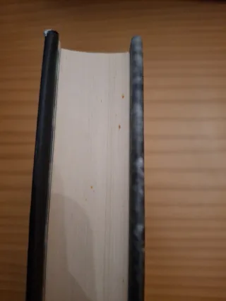 La hija del capitán Groc