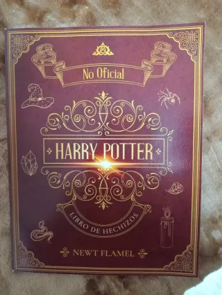 Libro de Hechizos de Harry Potter