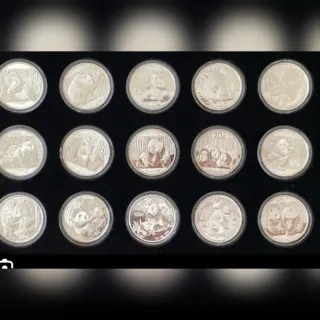 Lote 6 monedas panda de plata 999, años sueltos.