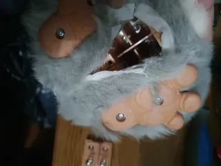 Furby del 2005