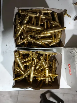 95 Pernio anuba dorado