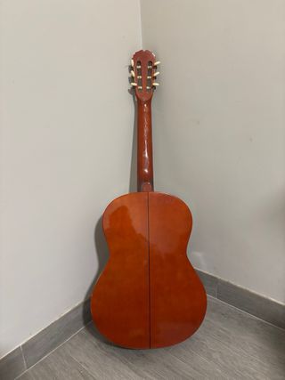 Guitarra Sonora SNG 450