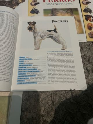 18 fasciculos de Mis amigos Los Perros