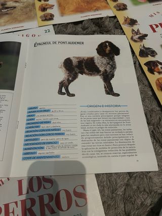 18 fasciculos de Mis amigos Los Perros