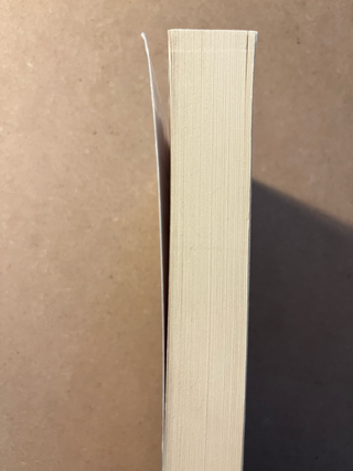 Lo zar di vetro. La Russia di Putin