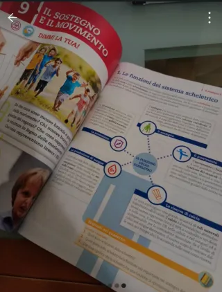 Libro di scienze focus natura green 2