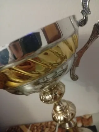 Trofeo de plata