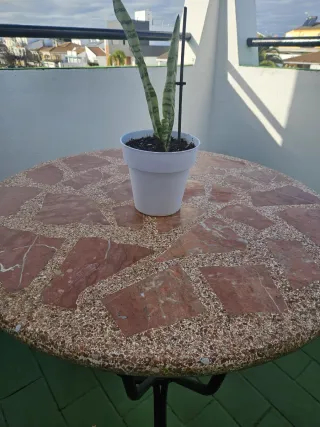 Tavolo da giardino con piano in pietra