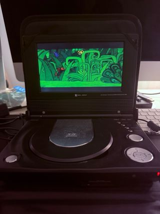 Reproductor DVD Portátil BELSON con TDT