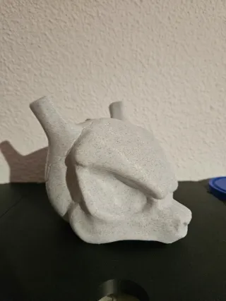 Pokemon Mewtwo Craneo