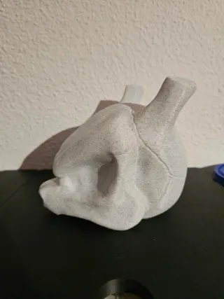 Pokemon Mewtwo Craneo