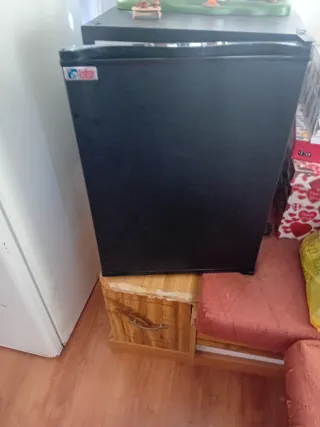 Nevera pequeña