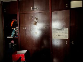 Armario y mueble con cama abatible