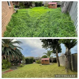 Limpieza de parcelas