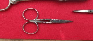 Lotto di 7 forbici antiche