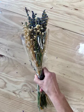 Lote de plantas preservadas