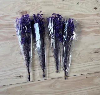 Lote de plantas preservadas