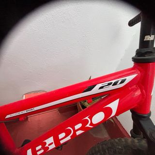 Bicicleta Infantil Roja 20