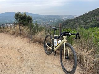 Megamo West AXS 2023 Talla S (1,72cm de alto)