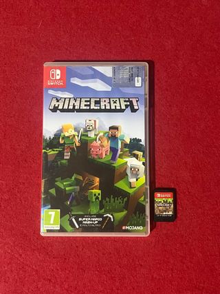 Minecraft Nintendo Switch