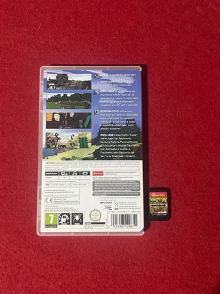 Minecraft Nintendo Switch