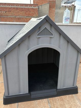 Caseta Perro