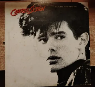 Charlie Sexton Pictures for Pleasure LP