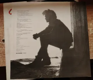 Charlie Sexton Pictures for Pleasure LP