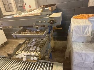 Granja avícola, en Guadalajara (Gajanejos)