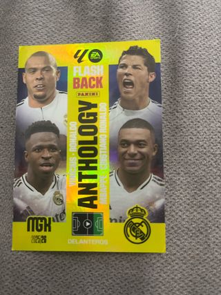 Carta Panini Flashback Anthology