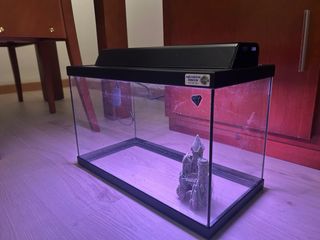 Acuario 20L
