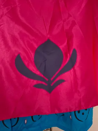 Disfraz Princesa Anna de Frozen t. 120, etiqueta