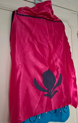 Disfraz Princesa Anna de Frozen t. 120, etiqueta