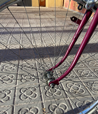 Bicicleta Vintage Ciudad Burdeos y Blanco