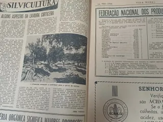 Lote Jornais Vida Rural Anos 50