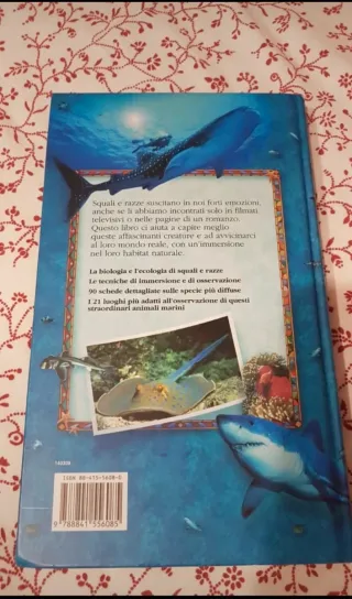 Libro nuovo